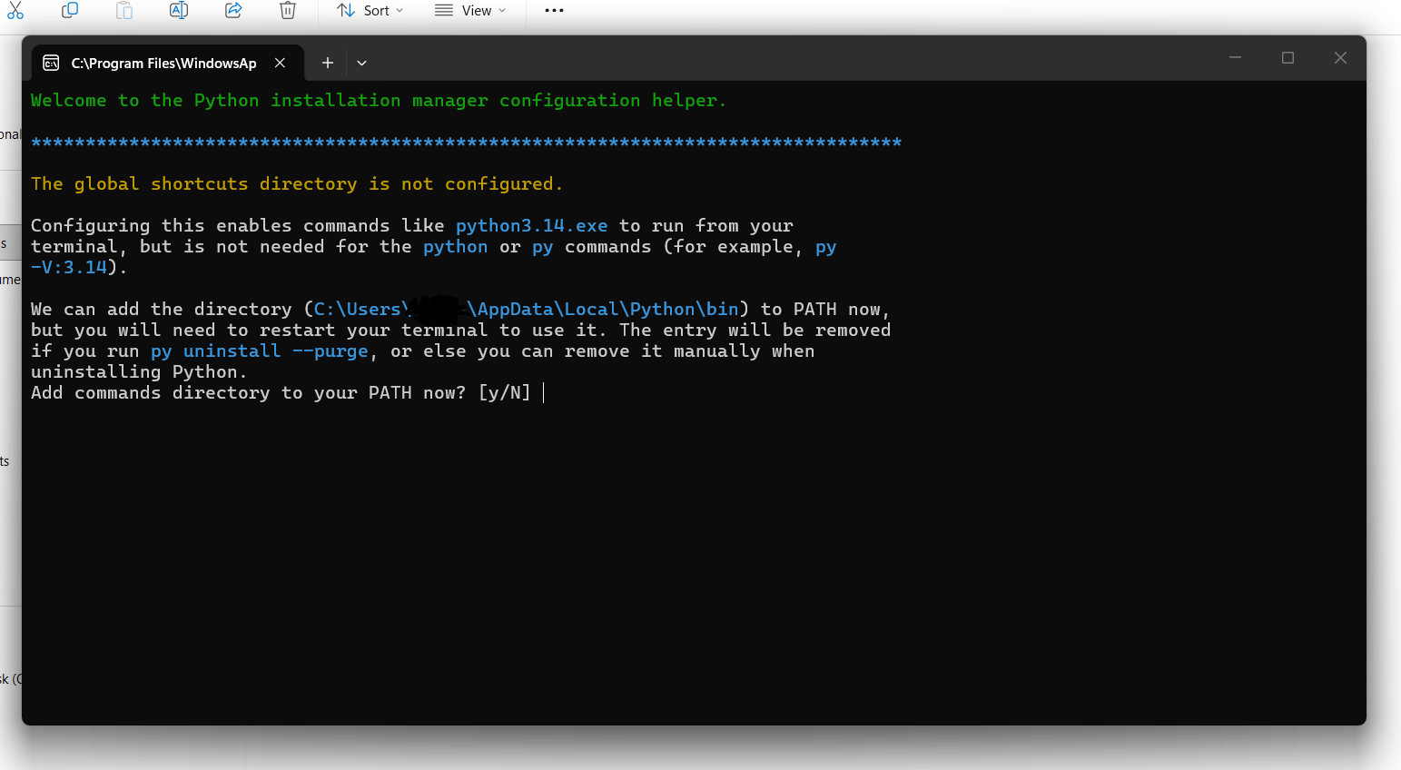 Python Manager terminal after install